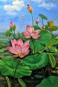 荷花  Lotus