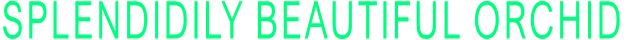 SPLENDIDILY BEAUTIFUL ORCHID